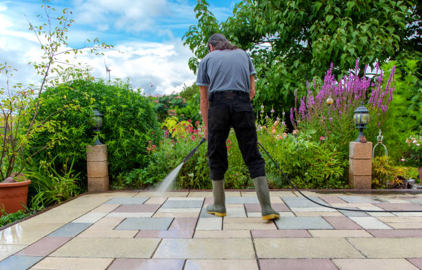 Best Driveway Pressure Washing  in Warner, OK